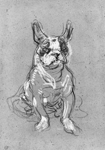 &39;Bouboule&39;，1897年La Souris的Palmyre夫人的斗牛犬（纸板上的油） 作者 亨利·德·图卢兹·劳特雷克